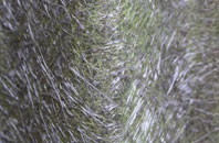 Hesters Way fibreglass roof work